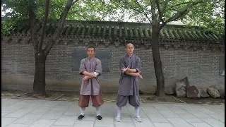 Shaolin Lian Huan Quan Sparring Form（Level - 2）少林连环拳对练（二段）