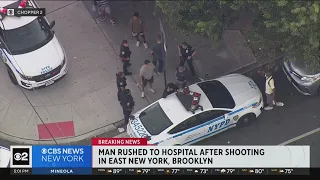 Brooklyn man shot in the face