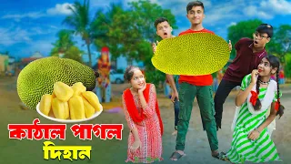 কাঁঠাল পাগল দিহান । জুনিয়র মুভি । kathal pagol dihan comedy Natok | new video 2024 | jihad enter10