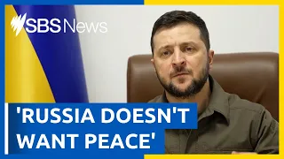 Volodymyr Zelenskyy hits back at Russian peace claim | SBS News