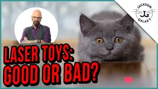 Can a Laser Toy Make Your Cat Crazy?!