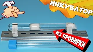 Как сделать инкубатор для муравьёв своими руками и как переселить муравьёв