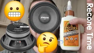 Reconing PRV MR650A speakers with WOOD GLUE, Does it actually work 🤔🤷