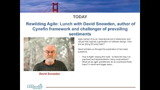 Rewilding Agile:  David Snowden, author of Cynefin framework and challenger of prevailing sentiments