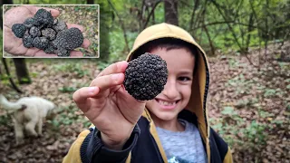 Truffle Hunting, Black Truffle / Lagotto Romagnolo