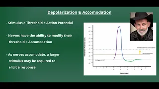 Introduction to Electrical Stimulation