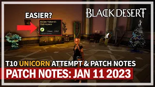 T10 Unicorn Attempt #3 & Patch Notes Opinions | Black Desert
