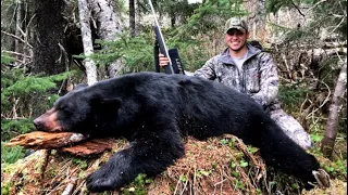 HUGE South Central Alaska Black Bear!!! 2019 Spring Season-Spot and Stalk Black Bear Hunt!