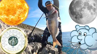 FISHING: The MOON, the TIDES, the WIND & the BAROMETRIC PRESSURE. Find the PERFECT FISHING DAY!