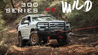 Landcruiser 300 Series VS Toolangi State Forest with MCC 4x4 Accessories