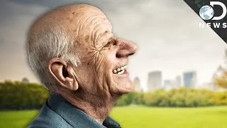 Why Old People Have Big Ears And Noses