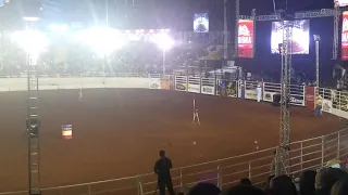 Prova dos três tambores expoinga 2019