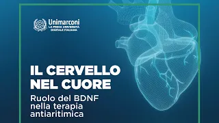 "Il cervello nel cuore" Ruolo del BDNF nella terapia antiaritmica