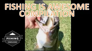 Fishing Is Awesome Compilation September 2020