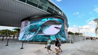 Nassau Bahamas Cruise Port - Cool Shark 3D Billboard