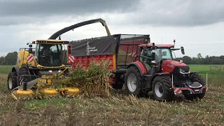 Mais hakselen bij Coppelmans door loonbedrijf Prenger met New Holland FR650 - Deel 1 (2023)