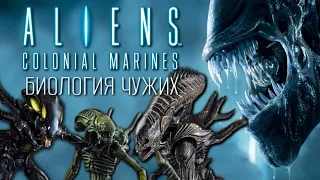 БИОЛОГИЯ ЧУЖИХ ИЗ ИГРЫ ALIENS COLONIAL MARINES