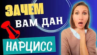 Зачем вам дан нарцисс? Какие уроки извлечь из отношений с нарциссом