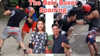 The Beki Boxer nag sparring sa kanyang dalawang boxer.