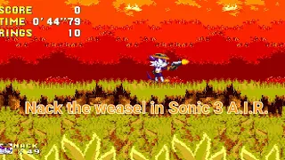 Extra slot Nack the weasel with abilities in Sonic 3 A.I.R.