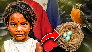 Why Filipino People RISK Their Lives for $2700 Bird Nests