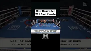 How Benavidez Will Beat Canelo - #benavidez #canelo #boxing #boxingworkout #boxingtraining #viral