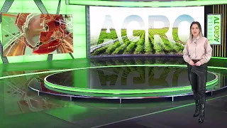 Hederul de porumb DRAGO GT la AGRO TV