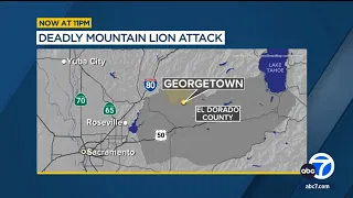 Mountain lion kills 1, injures another in California