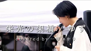 圧巻の歌唱力と表現力にその場にいた人の拍手が鳴り止まなかった！！栄光の架橋/ゆず Covered by 一華ひかり