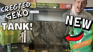 My NEW 18x18x24 CRESTED GECKO VIVARIUM!!!