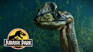 Nedry - Jurassic Park Book Horror Short Film - Blender