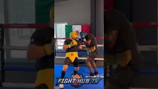 Canelo fires BRUTAL body shots in sparring for Jermell Charlo; shows him POWER!
