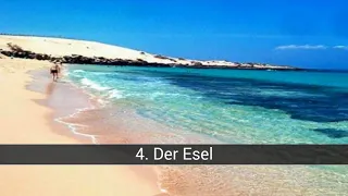 Die besten Strände von Fuerteventura 2018