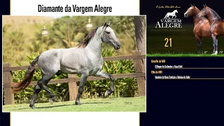 21 Diamante da Vargem Alegre