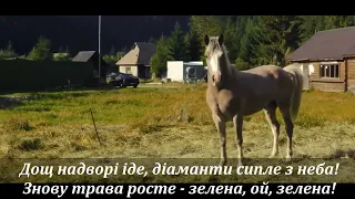 Ольга Монастирська - Карпатський дощ (+ текст)