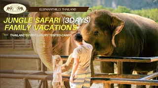 Elephant Hills: 3Days Jungle Safari Family vacation, Khao Sok National Park, Thailand