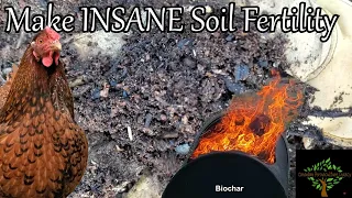 Make INSANE soil fertility with chickens and biochar