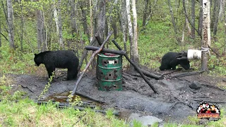 La chasse à l'ours 2022 de Laval Larouche!! 4K