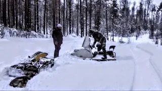 Тайга, новогодние приключения! Как это было!