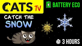 CATS TV - Catch the SNOW ❄️ BATTERY ECO 🔋3 HOURS (Game for CATS to watch)