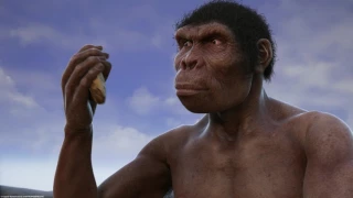 Evolution from ape to man