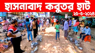 হাসনাবাদ কবুতর হাট ২৫-৫-২০২৪ | kobutor hat 2024 | pigeon market in bangladesh | Hasnabad kobutor hat