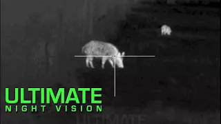 15 Hogs Down with the Pulsar Trail XQ38 Thermal Scope and Armasight Zeus Pro 640 50mm