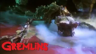 Gremlins: El Fin De Rayita