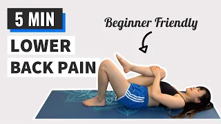 Lower Back Pain Relief Exercises at Home | 5 Minute Stretch