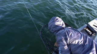 One Last Shot At A Muskie! Can We Clutch It? (Minnesota Muskie Hunt Pt.4)