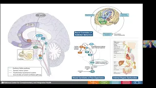 Grand Rounds: "Music and Art-Based Interventions for Health and Well-being", Emmeline Edwards, PhD