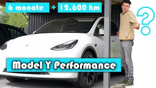 Tesla Model Y Performance - 6 Monate ungeschönte Erfahrung