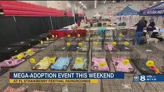 Mega-adoption event at Fl. Strawberry Festival Fairgrounds this Friday-Sunday