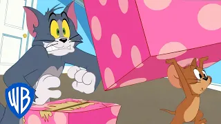Tom & Jerry in italiano 🇮🇹 | La scatola misteriosa | WB Kids